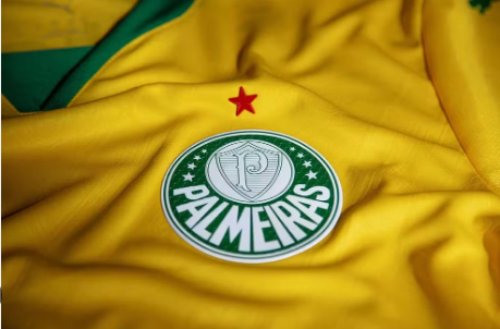 Foto 3 de Camisa Do Palmeiras (Seleção)
